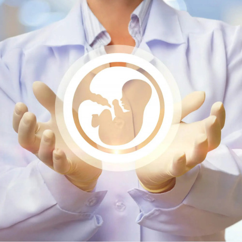 Fertility Services