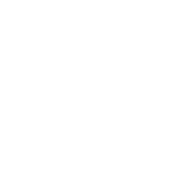Fertility Icon